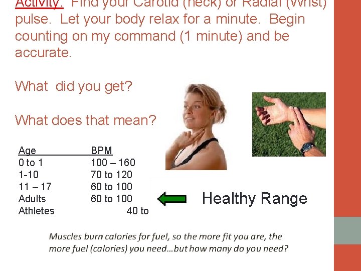 Activity: Find your Carotid (neck) or Radial (Wrist) pulse. Let your body relax for