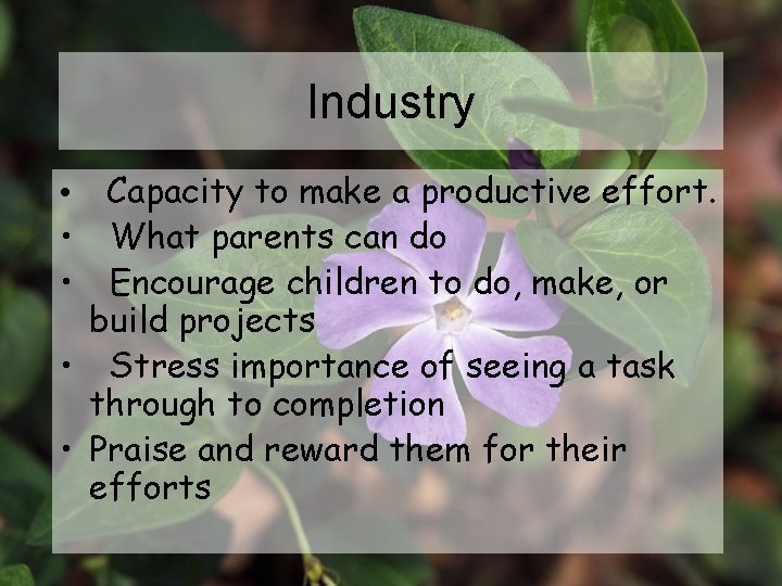 Industry • Capacity to make a productive effort. • What parents can do •