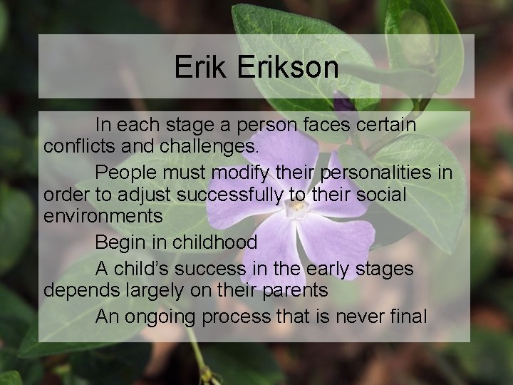 Erikson In each stage a person faces certain conflicts and challenges. People must modify