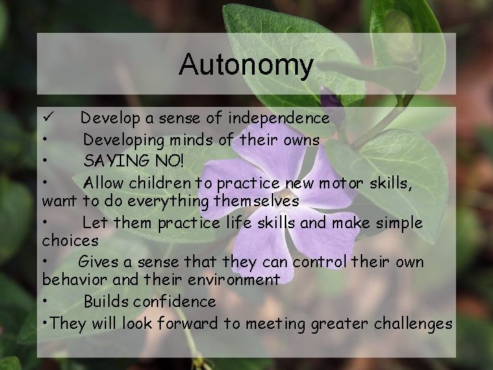 Autonomy ü Develop a sense of independence • Developing minds of their owns •