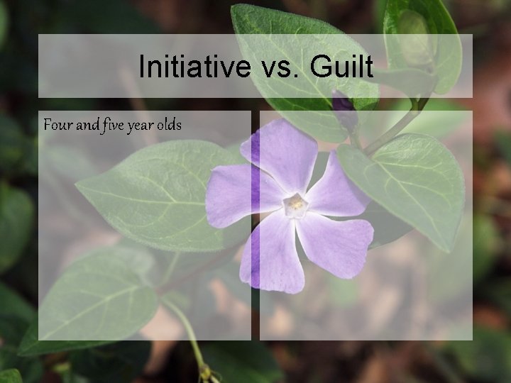 Initiative vs. Guilt Four and five year olds 