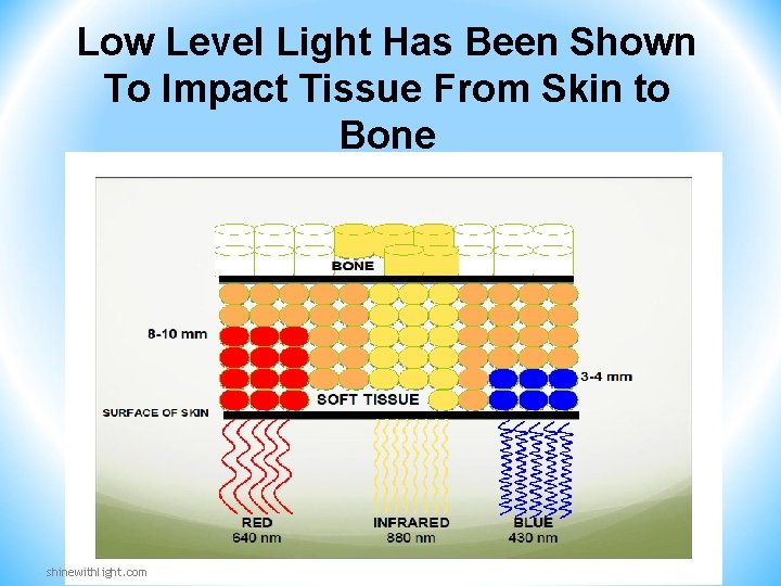 Low Level Light Has Been Shown To Impact Tissue From Skin to Bone shinewithlight. Low Level Light Has Been Shown To Impact Tissue From Skin to Bone shinewithlight.