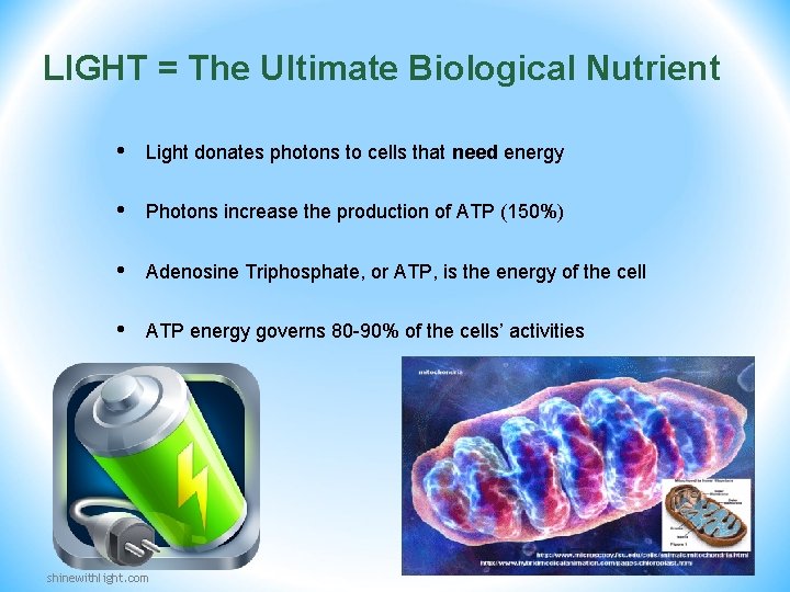 LIGHT = The Ultimate Biological Nutrient • Light donates photons to cells that need LIGHT = The Ultimate Biological Nutrient • Light donates photons to cells that need