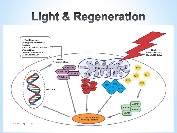 shinewithlight. com shinewithlight. com