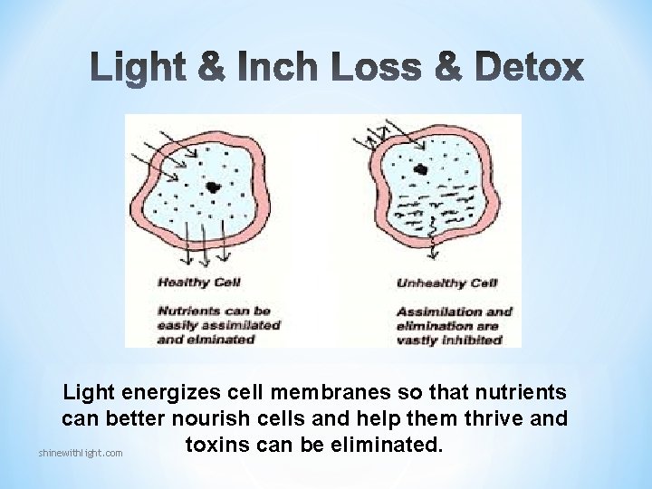 Light energizes cell membranes so that nutrients can better nourish cells and help them Light energizes cell membranes so that nutrients can better nourish cells and help them