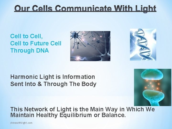 Cell to Cell, Cell to Future Cell Through DNA Harmonic Light is Information Sent Cell to Cell, Cell to Future Cell Through DNA Harmonic Light is Information Sent