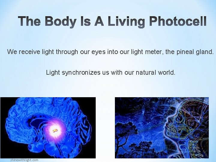 We receive light through our eyes into our light meter, the pineal gland. Light We receive light through our eyes into our light meter, the pineal gland. Light