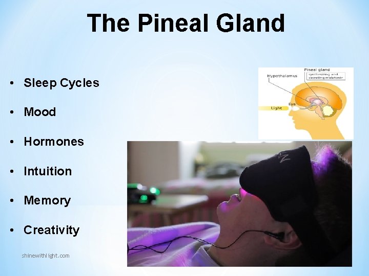 The Pineal Gland • Sleep Cycles • Mood • Hormones • Intuition • Memory The Pineal Gland • Sleep Cycles • Mood • Hormones • Intuition • Memory