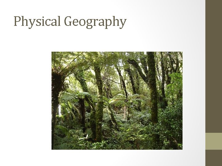 Physical Geography 