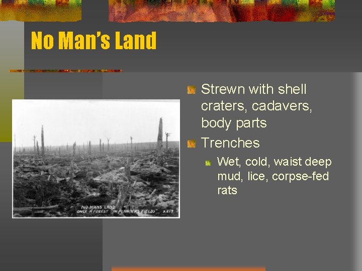No Man’s Land Strewn with shell craters, cadavers, body parts Trenches Wet, cold, waist