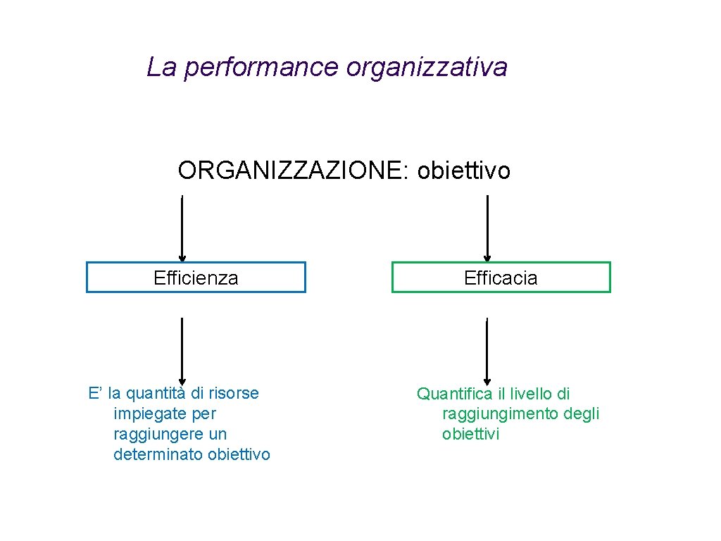 La performance organizzativa ORGANIZZAZIONE: obiettivo Efficienza E’ la quantità di risorse impiegate per raggiungere