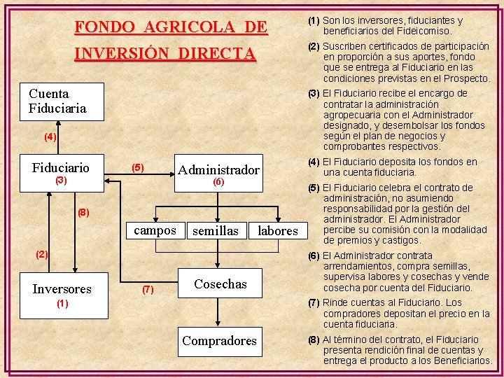 FONDO AGRICOLA DE (1) Son los inversores, fiduciantes y beneficiarios del Fideicomiso. INVERSIÓN DIRECTA