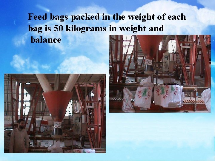Feed bags packed in the weight of each bag is 50 kilograms in weight