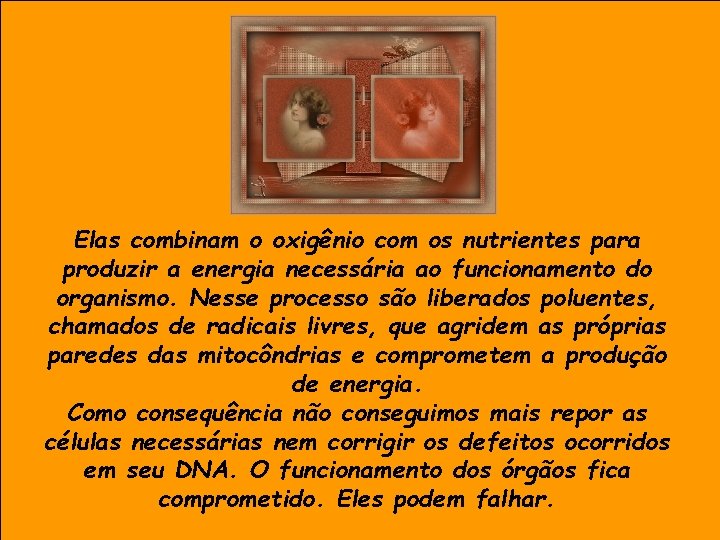 Elas combinam o oxigênio com os nutrientes para produzir a energia necessária ao funcionamento