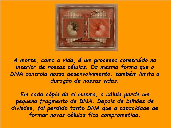 A morte, como a vida, é um processo construído no interior de nossas células.