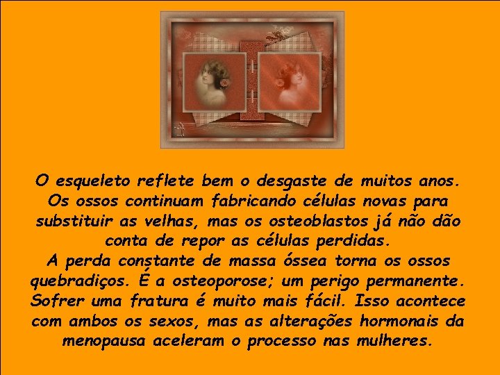 O esqueleto reflete bem o desgaste de muitos anos. Os ossos continuam fabricando células