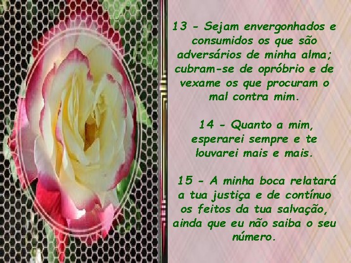 13 - Sejam envergonhados e consumidos os que são adversários de minha alma; cubram-se