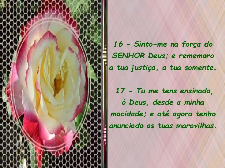 16 - Sinto-me na força do SENHOR Deus; e rememoro a tua justiça, a