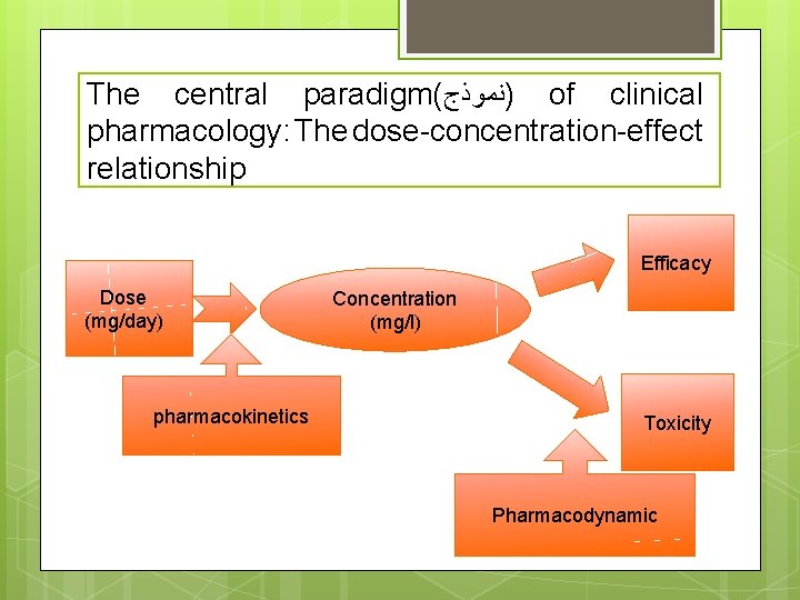The central paradigm( )ﻧﻤﻮﺫﺝ of clinical pharmacology: The dose-concentration-effect relationship Efficacy Dose (mg/day) pharmacokinetics The central paradigm( )ﻧﻤﻮﺫﺝ of clinical pharmacology: The dose-concentration-effect relationship Efficacy Dose (mg/day) pharmacokinetics