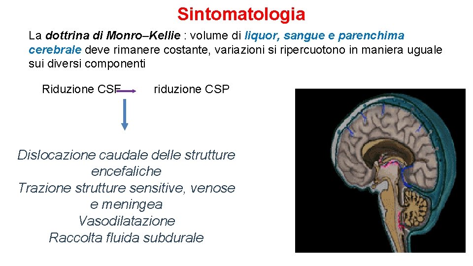 Sintomatologia La dottrina di Monro–Kellie : volume di liquor, sangue e parenchima cerebrale deve