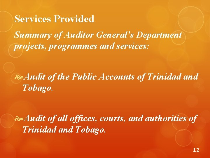 Services Provided Summary of Auditor General’s Department projects, programmes and services: Audit of the