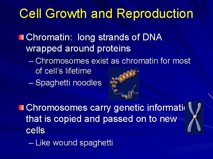 Cell Growth and Reproduction Chromatin: long strands of DNA wrapped around proteins – Chromosomes Cell Growth and Reproduction Chromatin: long strands of DNA wrapped around proteins – Chromosomes