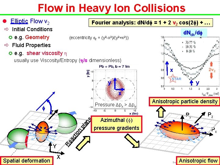 Flow in Heavy Ion Collisions l Elliptic Flow v 2 ð Initial Conditions µ