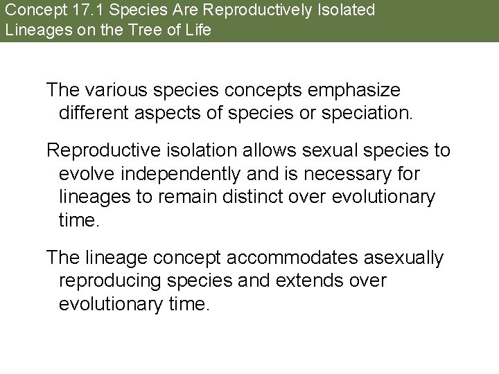 Concept 17. 1 Species Are Reproductively Isolated Lineages on the Tree of Life The