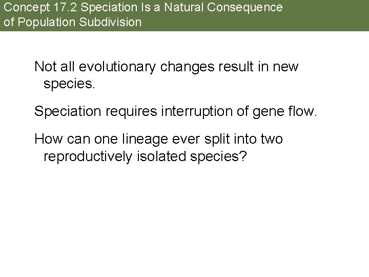Concept 17. 2 Speciation Is a Natural Consequence of Population Subdivision Not all evolutionary