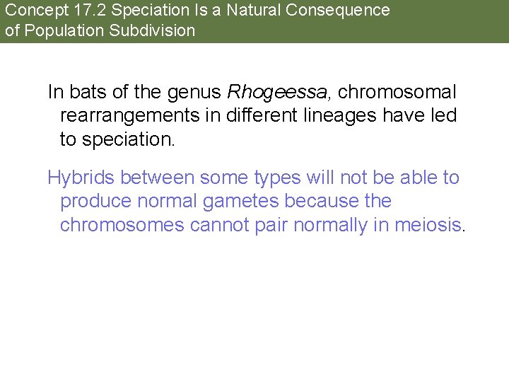 Concept 17. 2 Speciation Is a Natural Consequence of Population Subdivision In bats of