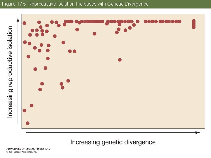Figure 17. 5 Reproductive Isolation Increases with Genetic Divergence 