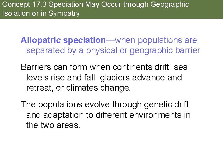 Concept 17. 3 Speciation May Occur through Geographic Isolation or in Sympatry Allopatric speciation—when