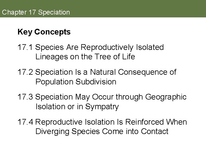 Chapter 17 Speciation Key Concepts 17. 1 Species Are Reproductively Isolated Lineages on the