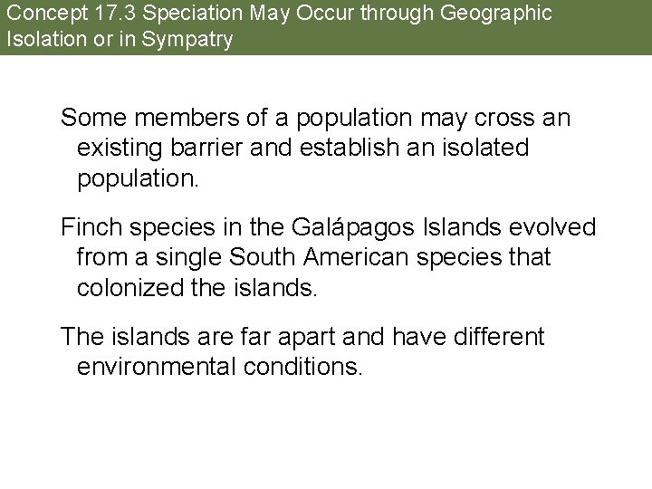 Concept 17. 3 Speciation May Occur through Geographic Isolation or in Sympatry Some members