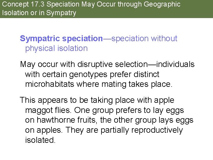 Concept 17. 3 Speciation May Occur through Geographic Isolation or in Sympatry Sympatric speciation—speciation