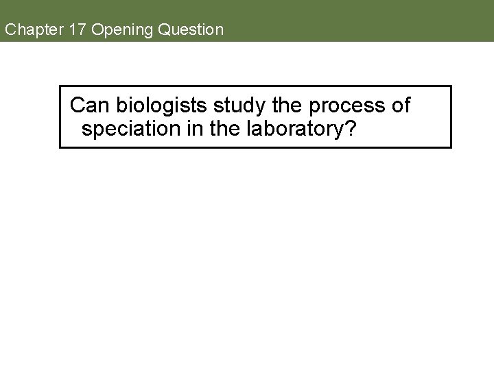 Chapter 17 Opening Question Can biologists study the process of speciation in the laboratory?