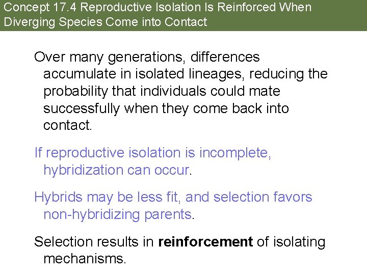 Concept 17. 4 Reproductive Isolation Is Reinforced When Diverging Species Come into Contact Over