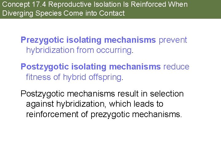 Concept 17. 4 Reproductive Isolation Is Reinforced When Diverging Species Come into Contact Prezygotic