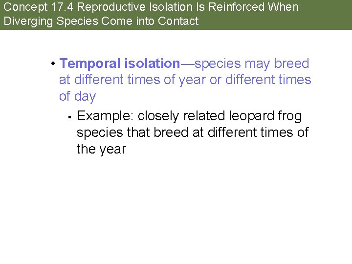 Concept 17. 4 Reproductive Isolation Is Reinforced When Diverging Species Come into Contact •