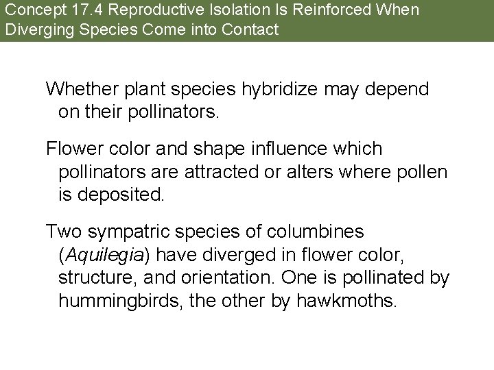 Concept 17. 4 Reproductive Isolation Is Reinforced When Diverging Species Come into Contact Whether