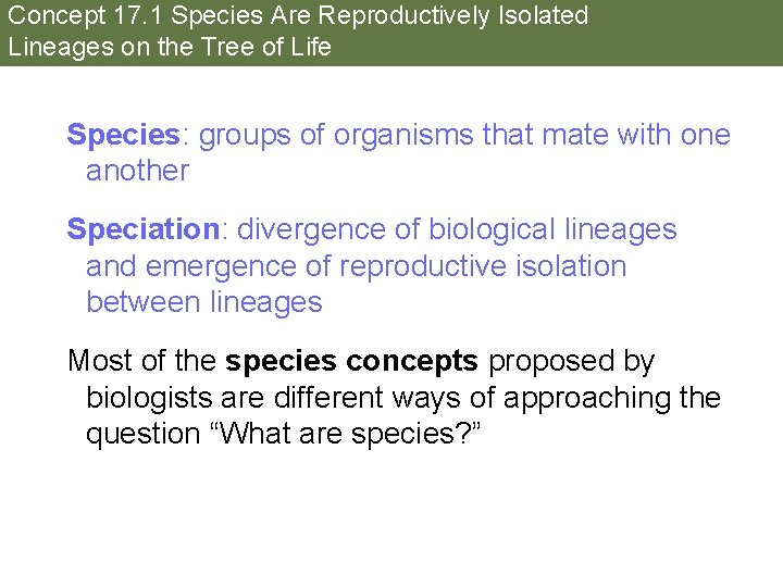 Concept 17. 1 Species Are Reproductively Isolated Lineages on the Tree of Life Species: