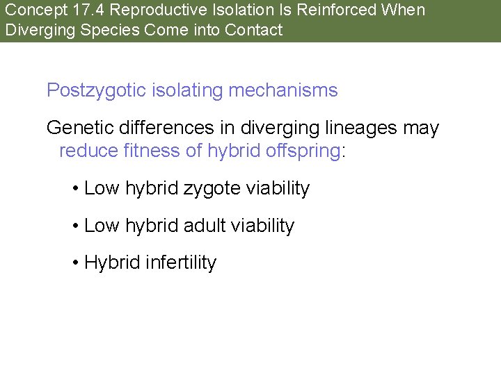 Concept 17. 4 Reproductive Isolation Is Reinforced When Diverging Species Come into Contact Postzygotic