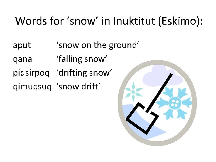 Words for ‘snow’ in Inuktitut (Eskimo): aput qana piqsirpoq qimuqsuq ‘snow on the ground’