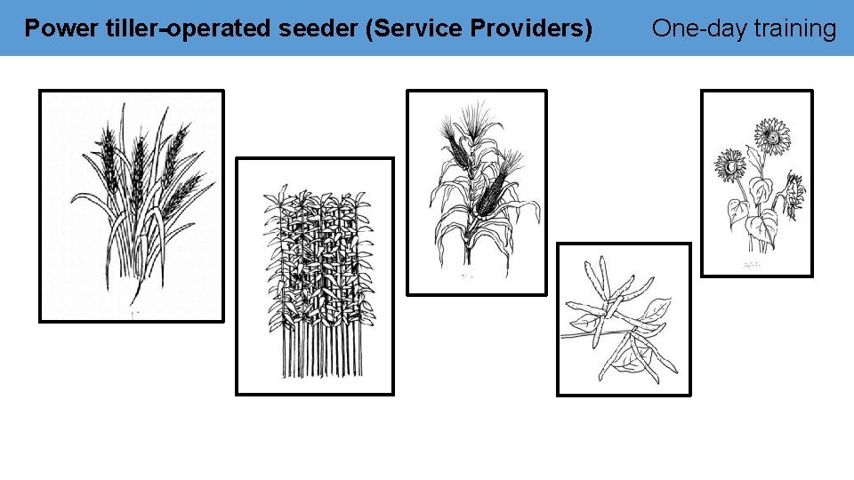 Power tiller-operated seeder (Service Providers) One-day training 