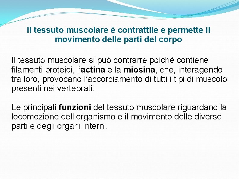 Il tessuto muscolare è contrattile e permette il movimento delle parti del corpo Il Il tessuto muscolare è contrattile e permette il movimento delle parti del corpo Il