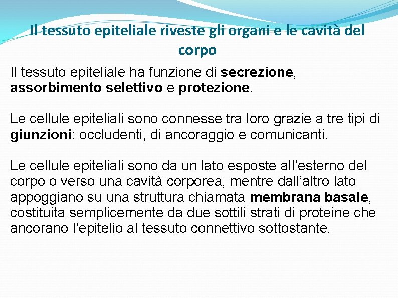 Il tessuto epiteliale riveste gli organi e le cavità del corpo Il tessuto epiteliale Il tessuto epiteliale riveste gli organi e le cavità del corpo Il tessuto epiteliale
