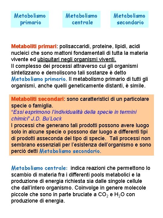 Metabolismo primario Metabolismo centrale Metabolismo secondario Metaboliti primari: primari polisaccaridi, proteine, lipidi, acidi nucleici