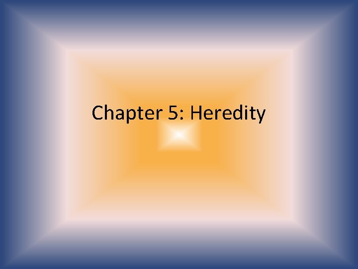 Chapter 5: Heredity 