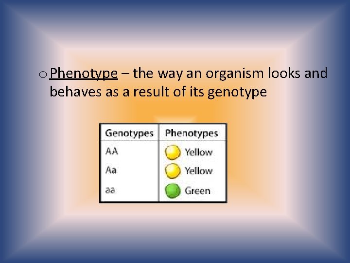 o Phenotype – the way an organism looks and behaves as a result of