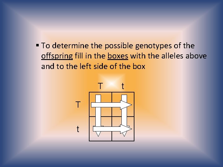 § To determine the possible genotypes of the offspring fill in the boxes with